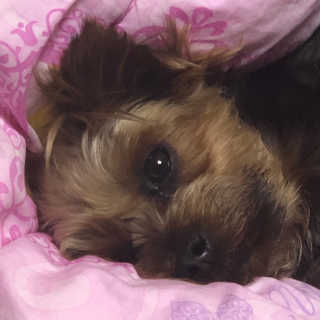 itsmeinyeong님이 올린 리뷰 사진 2