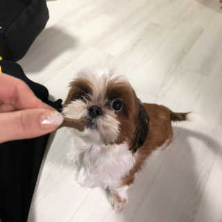 밤준맘님이 올린 리뷰 사진 2