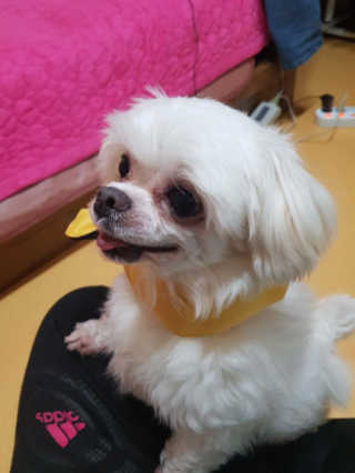 아름한님이 올린 리뷰 사진 2