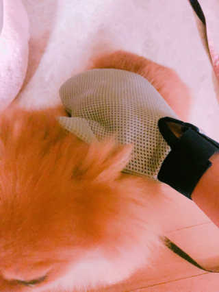 정민혜님이 올린 리뷰 사진 1