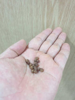 늘별님이 올린 리뷰 사진 1