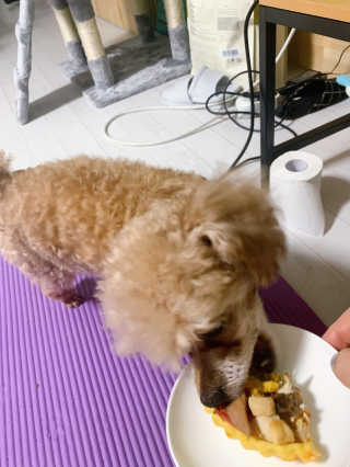 랑이님이 올린 리뷰 사진 2
