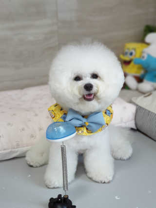 보리야꼬님이 올린 리뷰 사진 3