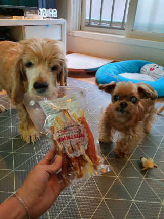 짱가엄마님이 올린 리뷰 사진 4