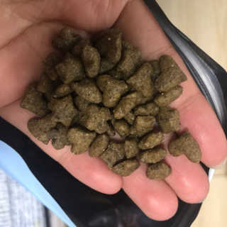 그린펫푸드 인섹트캣 글루텐프리（1.2KG） — 4점을 준 리뷰어가 2019년 9월 올린 사용 사진