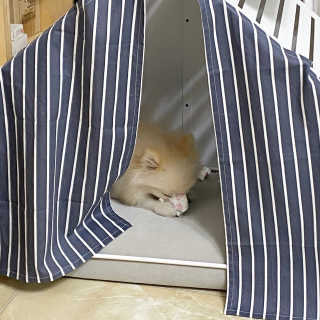 캐롯님이 올린 리뷰 사진 2