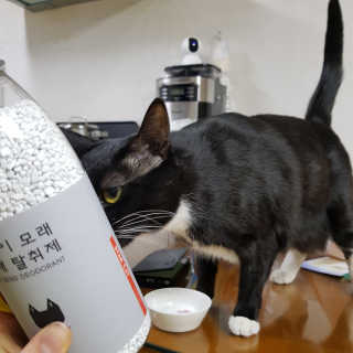 HyunHeeKim님이 올린 리뷰 사진 3