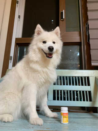 지수님이 올린 리뷰 사진 1