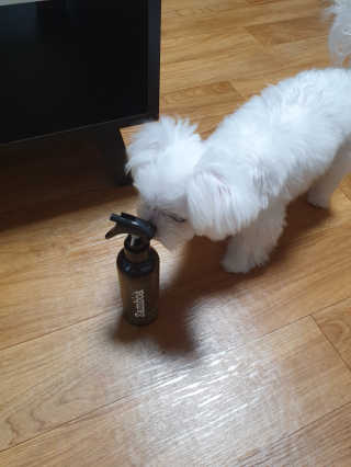 두부맘님이 올린 리뷰 사진 3