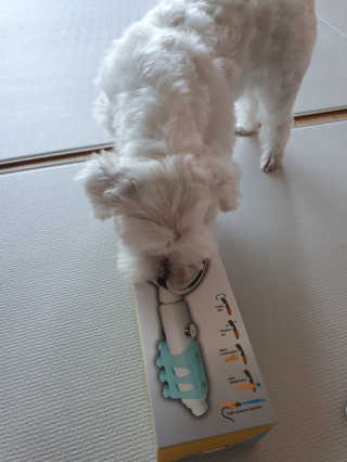 꿈꾸는냐옹이님이 올린 리뷰 사진 3