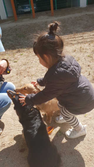 k.s.p님이 올린 리뷰 사진 2