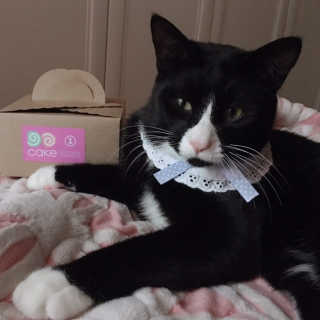 나르미르님이 올린 리뷰 사진 1