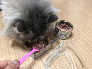 인디님이 올린 리뷰 사진 2