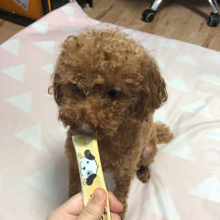 최신이님이 올린 리뷰 사진 3