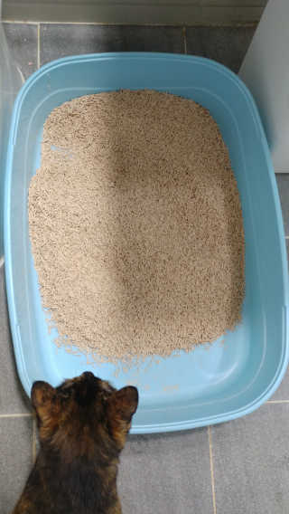 쩡미님이 올린 리뷰 사진 2