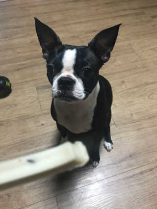 이선주님이 올린 리뷰 사진 4