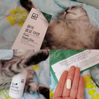 네츄럴굿띵스 퓨어 효모 아연 60일분 — 4.33점을 준 리뷰어가 2018년 2월 올린 사용 사진