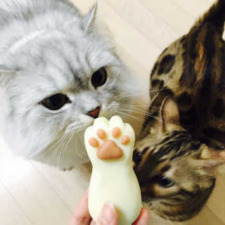 아튜님이 올린 리뷰 사진 1