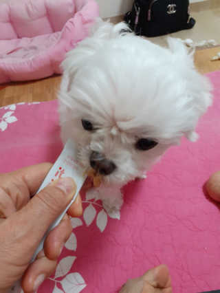 미도르님이 올린 리뷰 사진 4