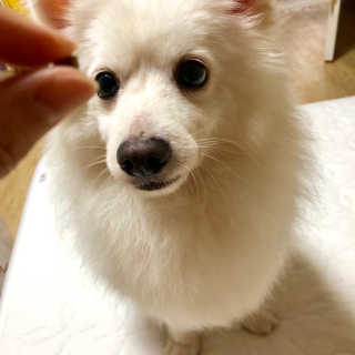 루우가님이 올린 리뷰 사진 4
