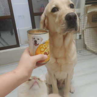 Lim님이 올린 리뷰 사진 1