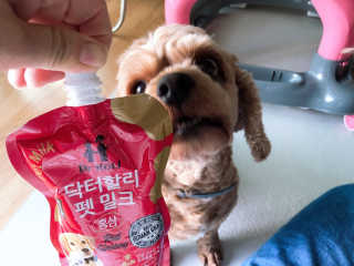 하리비트님이 올린 리뷰 사진 1