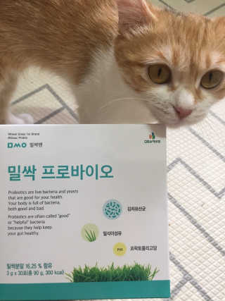 쿠키순대맘님이 올린 리뷰 사진 1