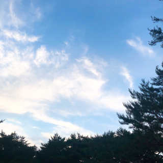 얍님이 올린 리뷰 사진 3
