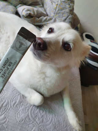 정호진님이 올린 리뷰 사진 1