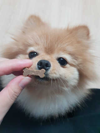 바니츼님이 올린 리뷰 사진 1