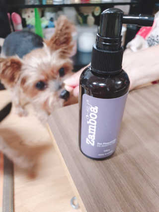 snoopy님이 올린 리뷰 사진 3