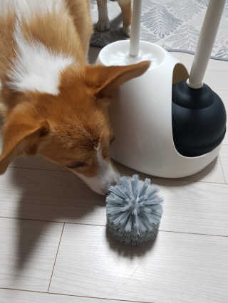 호잇님이 올린 리뷰 사진 3