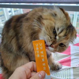 byyooom님이 올린 리뷰 사진 2