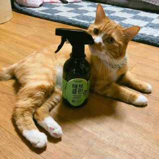 더블유드레스룸 페브클린 500ml — 4.83점을 준 리뷰어가 2018년 8월 올린 사용 사진