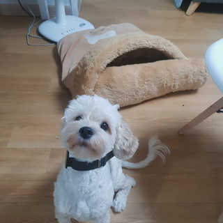 도리밍님이 올린 리뷰 사진 3