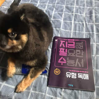 정아님이 올린 리뷰 사진 1