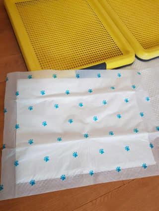 탱크돌콩님이 올린 리뷰 사진 2