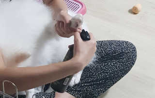 소라빵님이 올린 리뷰 사진 3