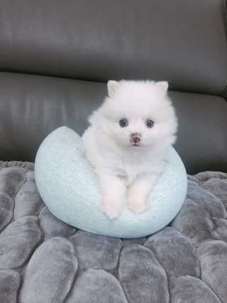 YoonheeSeo님이 올린 리뷰 사진 1