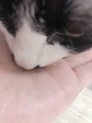 밍미이님이 올린 리뷰 사진 3