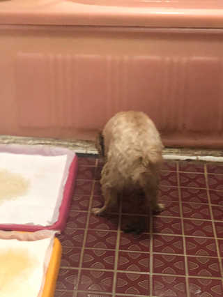 오부족님이 올린 리뷰 사진 3