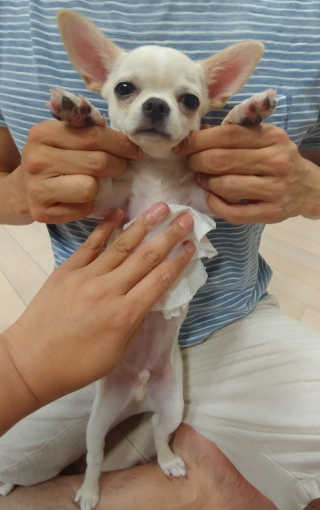 문띠님이 올린 리뷰 사진 2