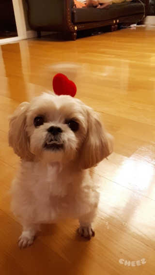 최소영님이 올린 리뷰 사진 2