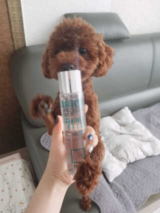 뽐님이 올린 리뷰 사진 2