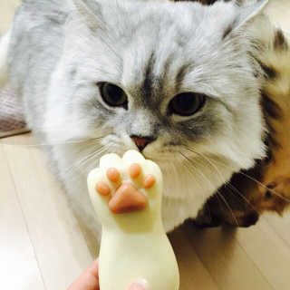 아튜님이 올린 리뷰 사진 2