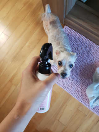 지아나님이 올린 리뷰 사진 3