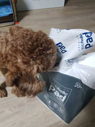 도담맘님이 올린 리뷰 사진 2