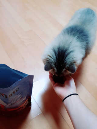 킴귤님이 올린 리뷰 사진 3