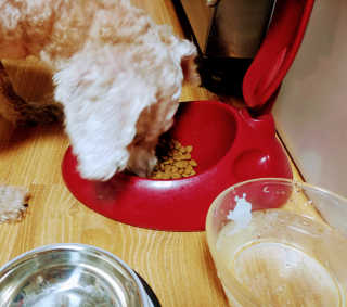 슬기네스님이 올린 리뷰 사진 4
