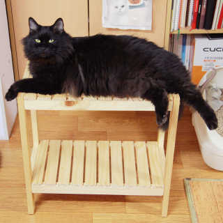 토모님이 올린 리뷰 사진 3